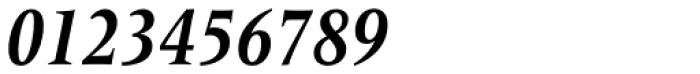 Frutiger Serif Pro Condensed Bold Italic Font OTHER CHARS