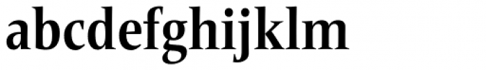 Frutiger Serif Pro Condensed Bold Font LOWERCASE