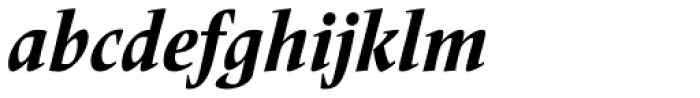 Frutiger Serif Pro Condensed Heavy Italic Font LOWERCASE