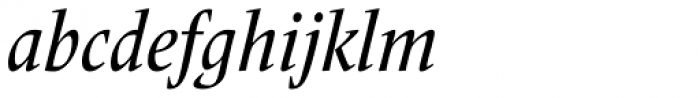 Frutiger Serif Pro Condensed Medium Italic Font LOWERCASE