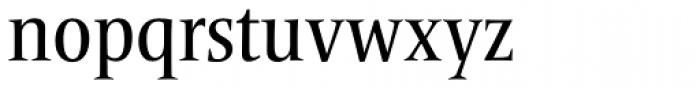 Frutiger Serif Pro Condensed Medium Font LOWERCASE