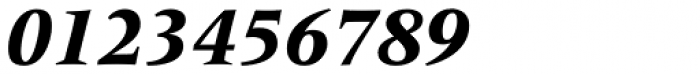 Frutiger Serif Pro Heavy Italic Font OTHER CHARS