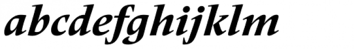 Frutiger Serif Pro Heavy Italic Font LOWERCASE