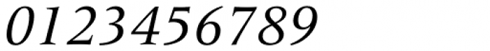 Frutiger Serif Pro Italic Font OTHER CHARS