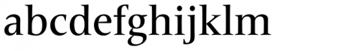 Frutiger Serif Pro Medium Font LOWERCASE