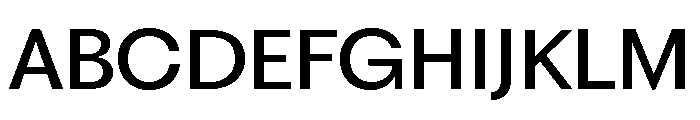 Fragment Sans Medium Font UPPERCASE