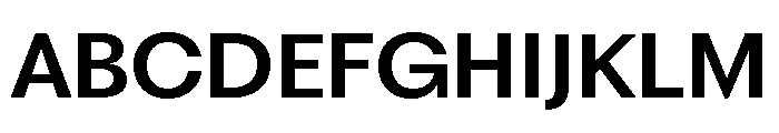 Fragment Sans SemiBold Font UPPERCASE