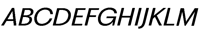 Fragment Sans Variable Regular 13 Font UPPERCASE