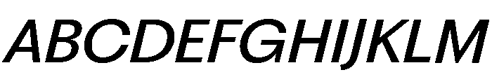 Fragment Sans Variable Regular 14 Font UPPERCASE