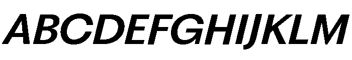 Fragment Sans Variable Regular 15 Font UPPERCASE