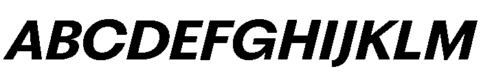 Fragment Sans Variable Regular 16 Font UPPERCASE