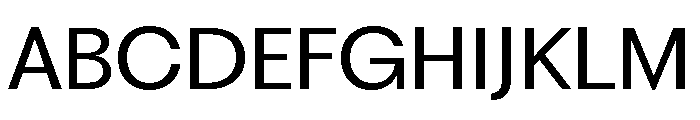 Fragment Sans Variable Regular 4 Font UPPERCASE