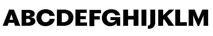 Fragment Sans Variable Regular 8 Font UPPERCASE