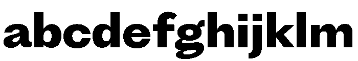 Fragment Sans Variable Regular 8 FONT