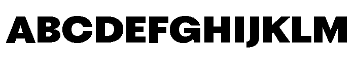 Fragment Sans Variable Regular 9 Font UPPERCASE