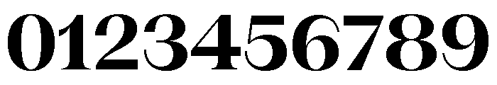 Fragment Serif Bold Font OTHER CHARS