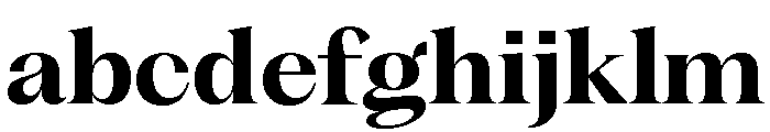Fragment Serif Variable Regular 7 FONT