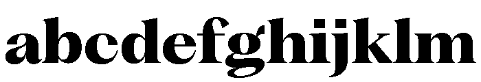 Fragment Serif Variable Regular 8 FONT