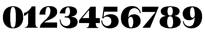 Fragment Serif Variable Regular 9 Font OTHER CHARS