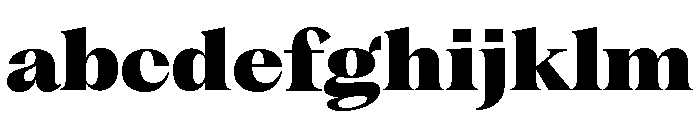 Fragment Serif Variable Regular 9 FONT