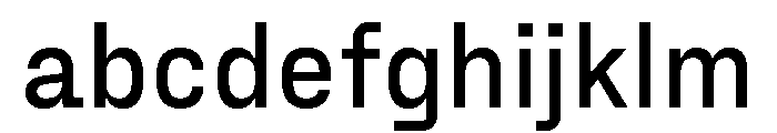 Fraktion Sans 5 FONT