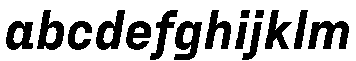 FraktionSansItalic BlackItalic Instance FONT