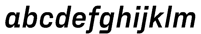 FraktionSansItalic BoldItalic Instance FONT