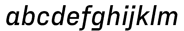 FraktionSansItalic MediumItalic Instance FONT