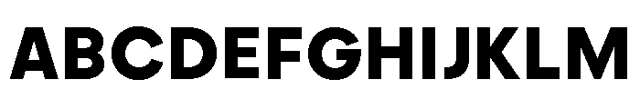 Frama Text Bold Italic Alt2 Font UPPERCASE