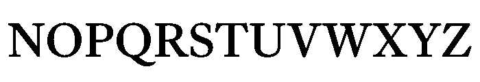 Frame Text Medium Font UPPERCASE