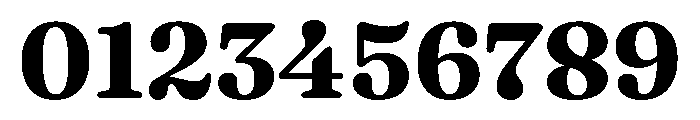 Fraunces Bold Instance 792adc00 Font OTHER CHARS