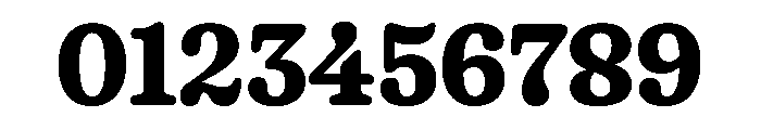 Fraunces Bold Instance Font OTHER CHARS