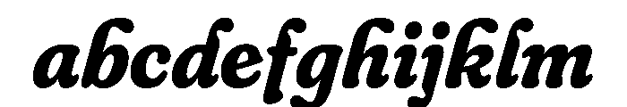 Fraunces BoldItalic Instance 1b245ccd FONT