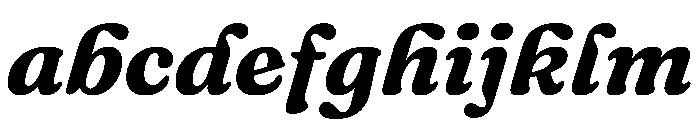 Fraunces BoldItalic Instance FONT