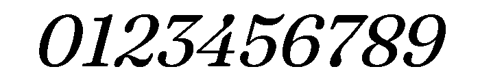 Fraunces Italic Instance Font OTHER CHARS