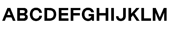 FriedelPro Bold Font UPPERCASE