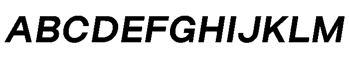 FriedelPro BoldOblique Font UPPERCASE