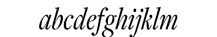 Freight Display Compressed Book Italic FONT