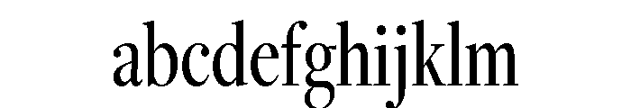 Freight Display Compressed Book FONT