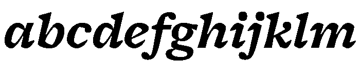 Freight Micro Bold Italic FONT