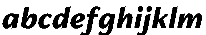 Freight Neo Black Italic FONT