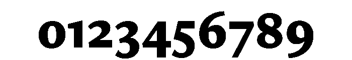 Freight Neo Black Font OTHER CHARS