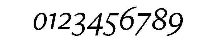 Freight Neo Book Italic Font OTHER CHARS