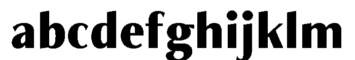 Freight Neo Condensed Black FONT