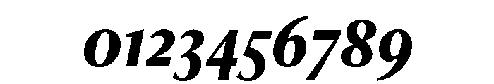 Freight Neo Condensed Bold Italic Font OTHER CHARS