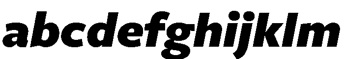 Freight Sans Black Italic FONT
