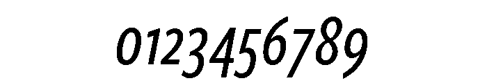 Freight Sans Compressed Medium Italic Font OTHER CHARS