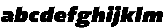 Freight Sans Ultra Black Italic FONT