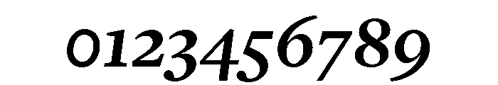 Freight Text Bold Italic Font OTHER CHARS