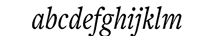 Freight Text Compressed Book Italic FONT